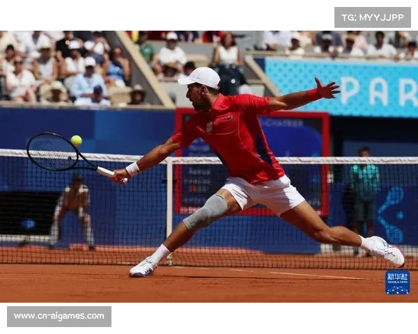 哈姆迪点胜巴内特 埃及格斗运动迈入崭新阶段